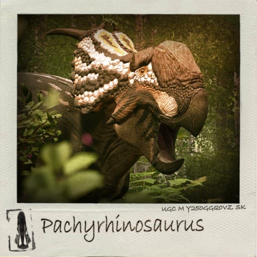 KTO Additions | Pachyrhinosaurus icon