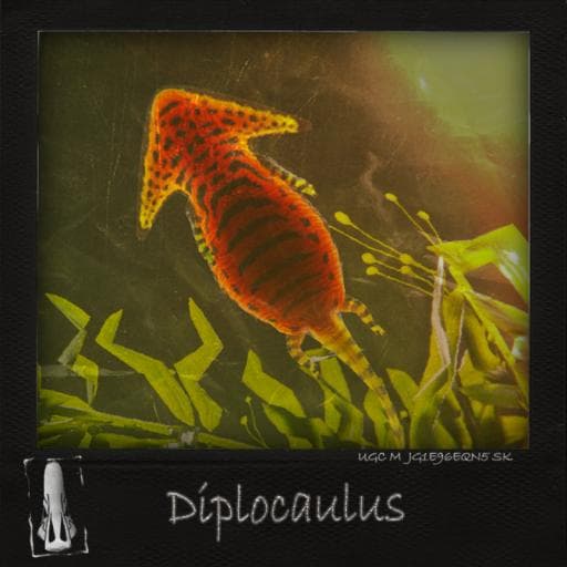 KTO Additions | Diplocaulus icon