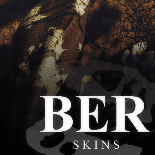 BER Skins icon