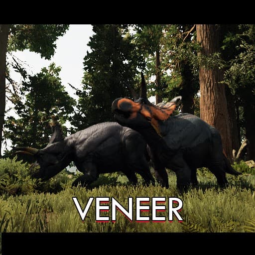 Veneer icon